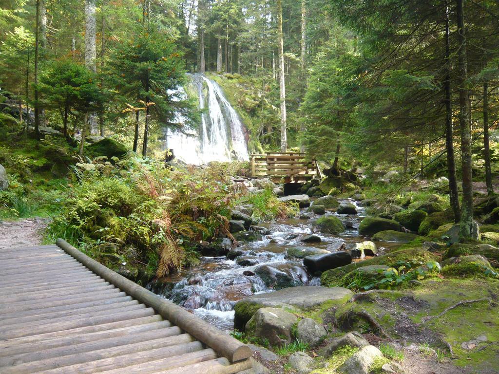 Chalet Luxe 12 Personnes Spa Sauna Vosges-Gerardmer ル・トリー エクステリア 写真