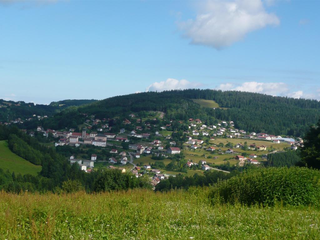 Chalet Luxe 12 Personnes Spa Sauna Vosges-Gerardmer ル・トリー エクステリア 写真