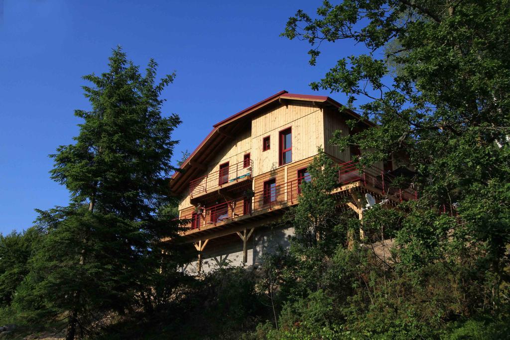 Chalet Luxe 12 Personnes Spa Sauna Vosges-Gerardmer ル・トリー エクステリア 写真