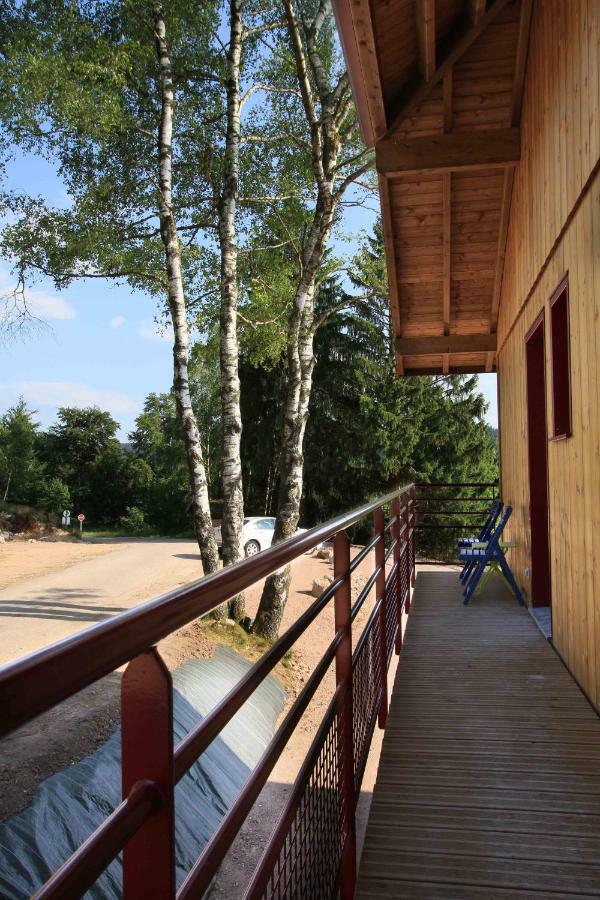 Chalet Luxe 12 Personnes Spa Sauna Vosges-Gerardmer ル・トリー エクステリア 写真