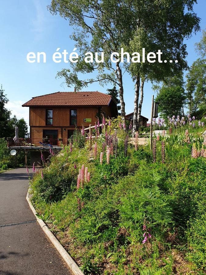 Chalet Luxe 12 Personnes Spa Sauna Vosges-Gerardmer ル・トリー エクステリア 写真